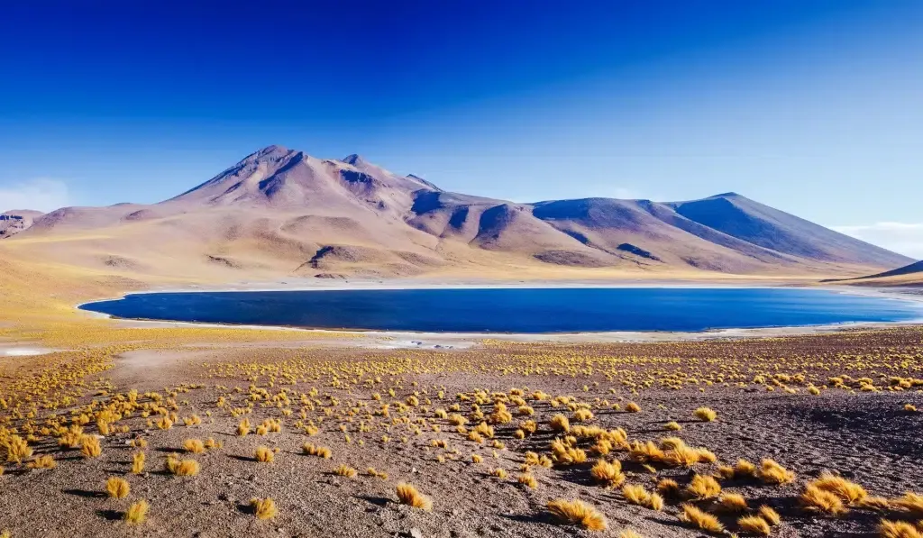 Atacama Desert